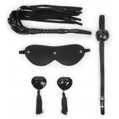 Эротический набор в черном цвете: маска, кляп, пэстисы, плётка - Notabu - купить с доставкой в Костроме