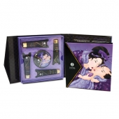 Подарочный набор Geishas secret из 5 предметов - Shunga - купить с доставкой в Костроме