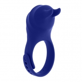 Синее эрекционное виброкольцо с клиторальной подушечкой и пультом ДУ Adjustable Fun Ring - Zero Tolerance - в Костроме купить с доставкой