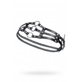 Черный кожаный пояс с кольцами - Pecado - купить с доставкой в Костроме