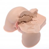 Мастурбатор-полуторс Naked Factory Kate - Naked Factory - в Костроме купить с доставкой