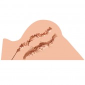 Мастурбатор-полуторс Naked Factory Hannah - Naked Factory - в Костроме купить с доставкой