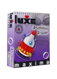 Презерватив LUXE Maxima  Аризонский Бульдог  - 1 шт. - Luxe - купить с доставкой в Костроме