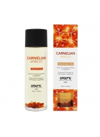 Органическое массажное масло CARNELIAN APRICOT - 100 мл. - Exsens - купить с доставкой в Костроме