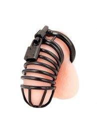 Черная металлическая клетка с замком Deluxe Chastity Cage - BlueLine - купить с доставкой в Костроме