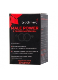 Капсулы для мужчин Erotichard male power с пантогематогеном - 20 капсул (0,370 гр.) - Erotic Hard - купить с доставкой в Костроме
