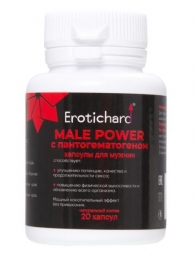 Капсулы для мужчин Erotichard male power с пантогематогеном - 20 капсул (0,370 гр.) - Erotic Hard - купить с доставкой в Костроме