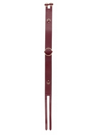 Бордовый ремень Halo Waist Belt - размер L-XL - Shots Media BV - купить с доставкой в Костроме