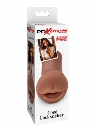 Мастурбатор-ротик Coed Cocksucker - Pipedream - в Костроме купить с доставкой