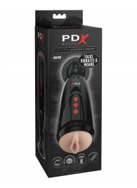 Мастурбатор-вагина с вибрацией Dirty Talk Starter Stroker - Pipedream - в Костроме купить с доставкой