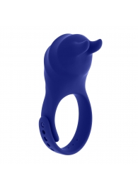 Синее эрекционное виброкольцо с клиторальной подушечкой и пультом ДУ Adjustable Fun Ring - Zero Tolerance - в Костроме купить с доставкой
