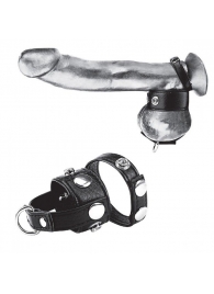 Утяжка для мошонки и пениса Cock Ring With 1  Ball Stretcher And Optional Weight Ring - BlueLine - купить с доставкой в Костроме