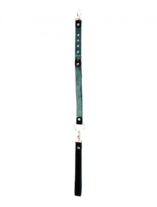 Изумрудный поводок для ошейника Ladys Arsenal - БДСМ Арсенал - купить с доставкой в Костроме