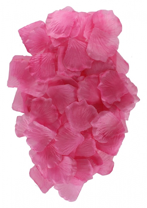 Эротический набор FANTASTIC PURPLE SEX TOY KIT - Toy Joy - купить с доставкой в Костроме