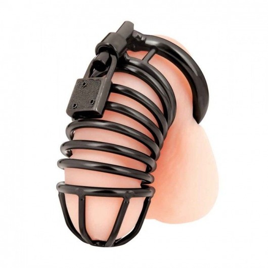 Черная металлическая клетка с замком Deluxe Chastity Cage - BlueLine - купить с доставкой в Костроме