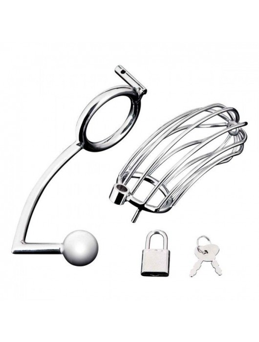 Серебристая металлическая клетка с анальным стимулятором Cock Cage - BlueLine - купить с доставкой в Костроме