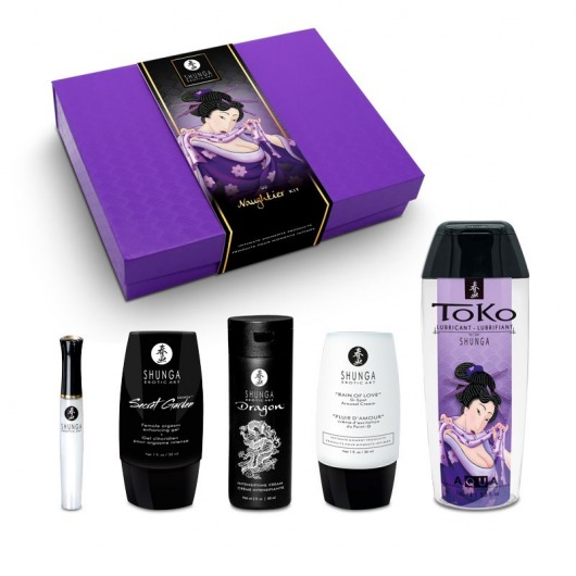 Подарочный набор Naughter Kit - Shunga - купить с доставкой в Костроме