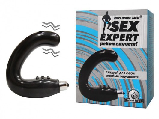 Чёрный массажёр простаты серии Sex Expert - Sex Expert - в Костроме купить с доставкой