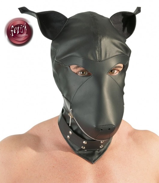 Шлем-маска Dog Mask в виде морды собаки - Orion - купить с доставкой в Костроме