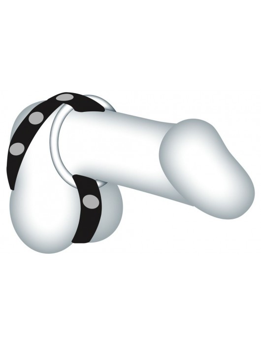 Подхват для мошонки с 3 съемными эрекционными кольцами Leder-Riemen - Orion - в Костроме купить с доставкой